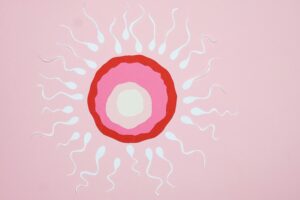 Illustration of egg fertilization with sperm, featuring paper cutouts on a pink background.